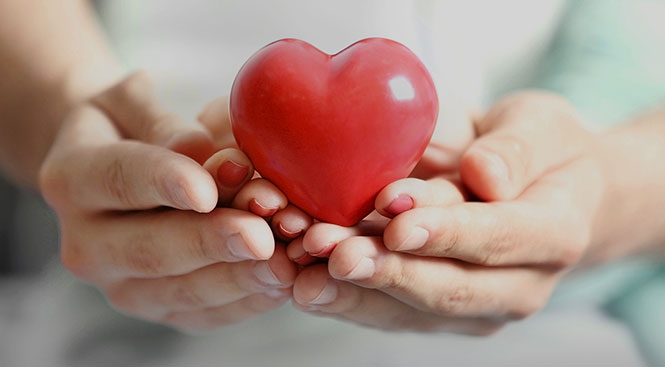 凯时K66官网 - 凯时优质运营商首页